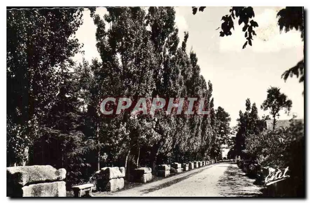 Les Alyscamps — Allée des Tombes — Éditeur Estel - Frente