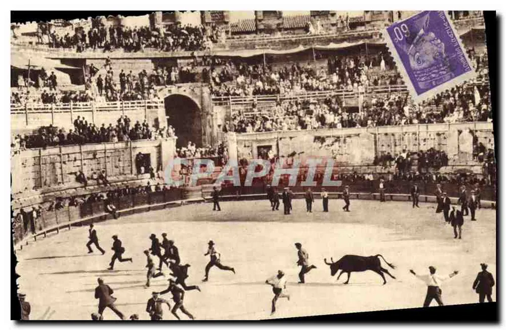Arles-en-Provence — Corrida popular de vaca, as cornas emboladas — Foto George, Arles-sur-Rhône - Frente