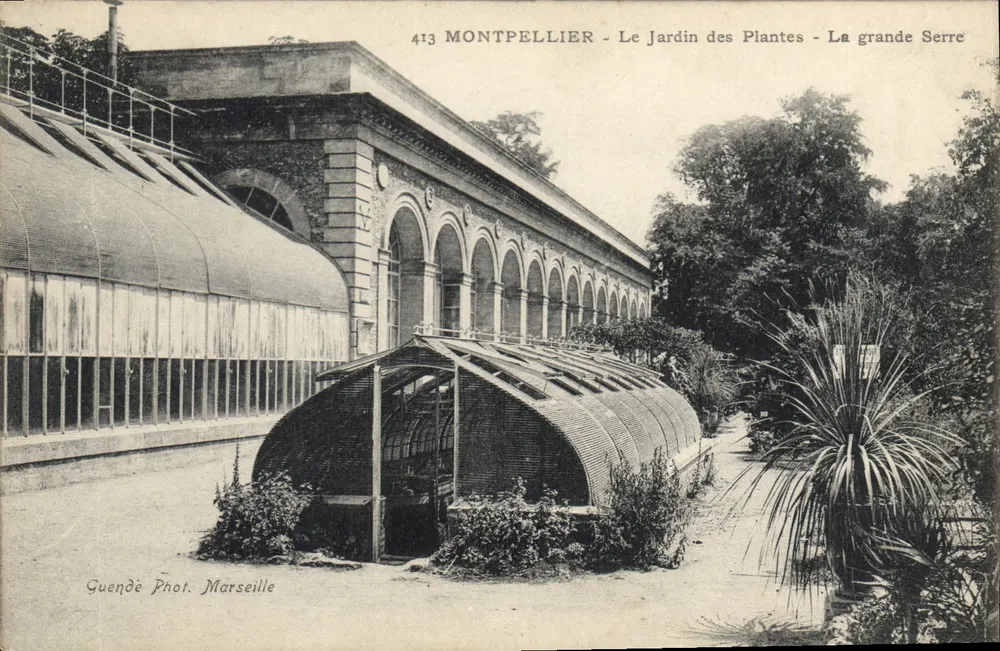 Montpellier - Der Botanische Garten - Die große Gewächshaus — Guendé Phot. Marseille, n°413 - Vorderseite