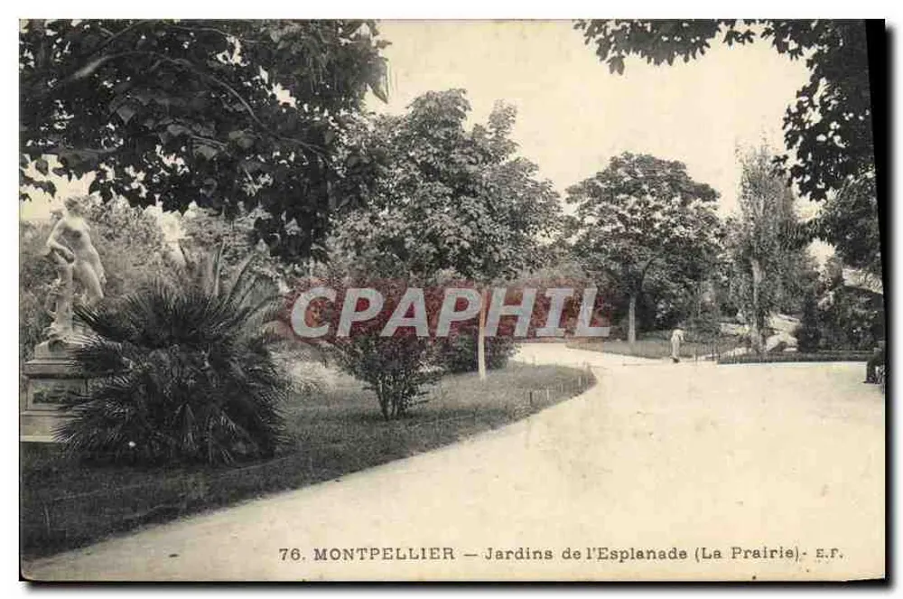 Montpellier — Jardins da Esplanada (A Prairies) — E.F. n°76 - Frente