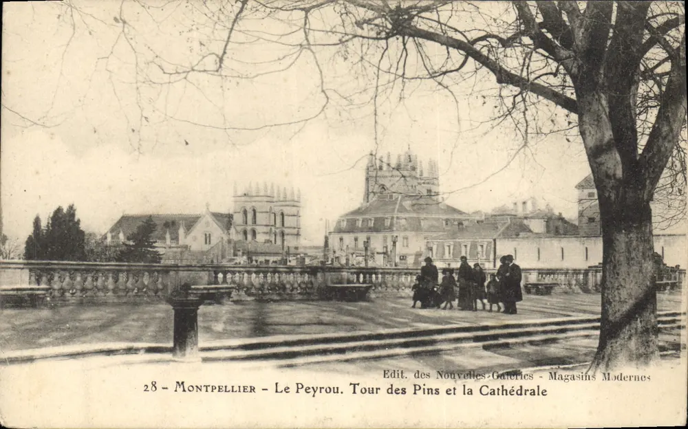 Montpellier — Le Peyrou. Turm der Kiefer und die Kathedrale — Edit. des Nouvelles Galeries - Magasins Modernes, Nr. 28 - Vorderseite