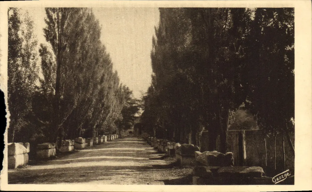 Les Alyscamps - Allée des Tombeaux — Arles-sur-Rhône, éditeur J. DORPHIL, n° 522 - Vorderseite