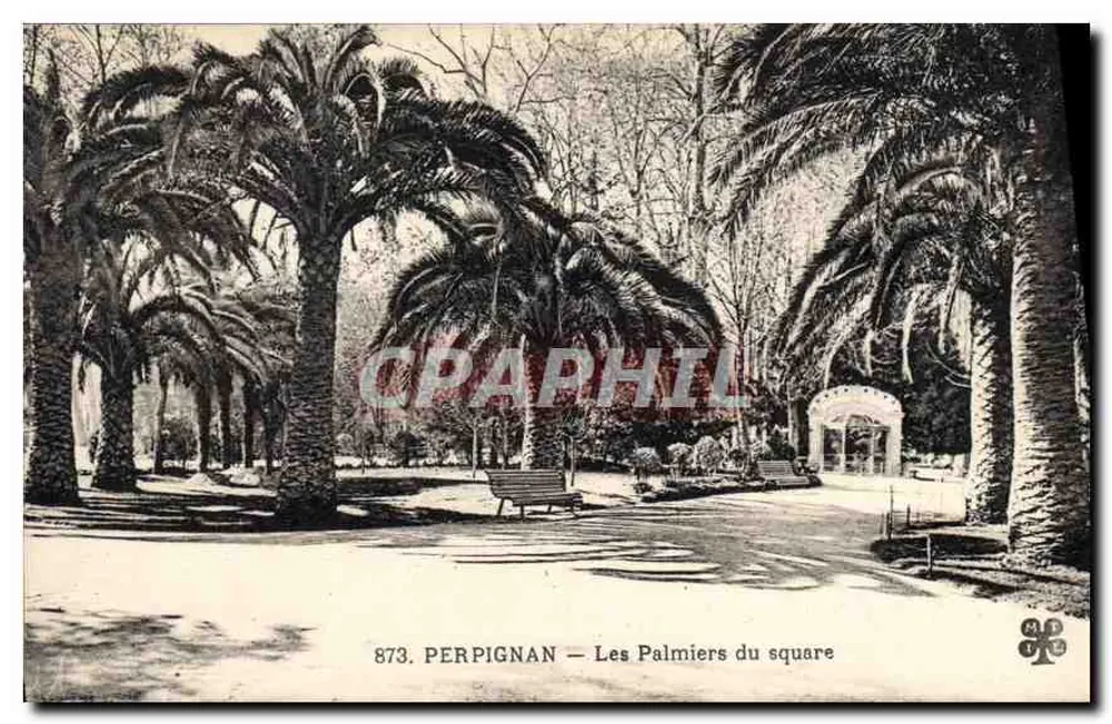 Perpignan — Os Palmieres do square — n°873 - Frente