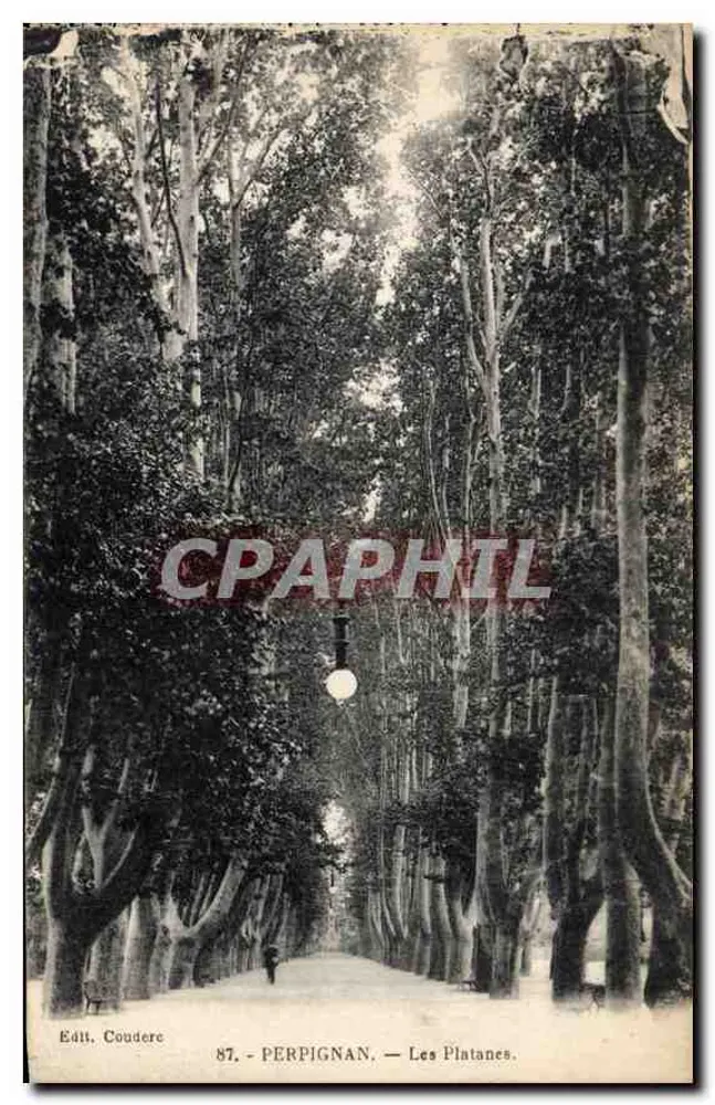 Perpignan — Les Platanes — Editora Coudere, n°87 - Frente
