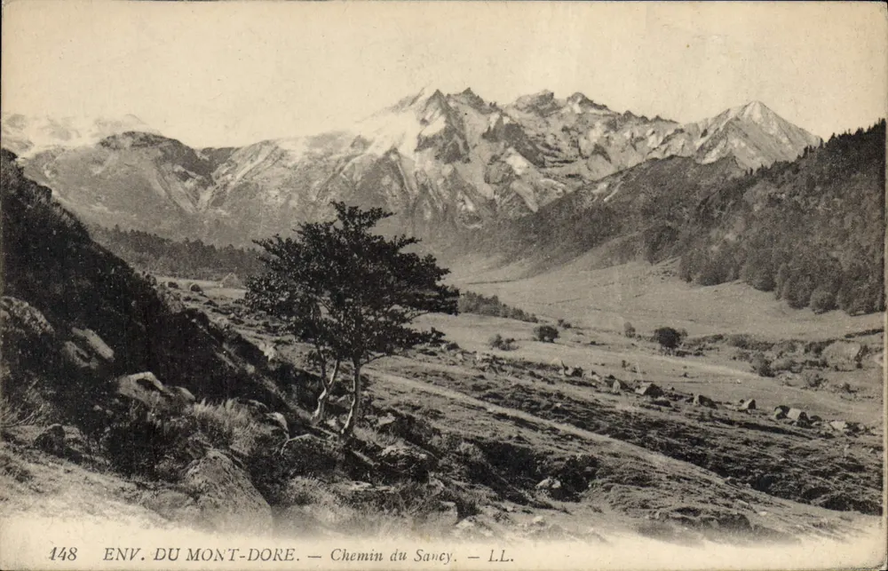 Ambiente do Mont-Dore — Caminho do Sancy — LL. — N° 148 - Frente