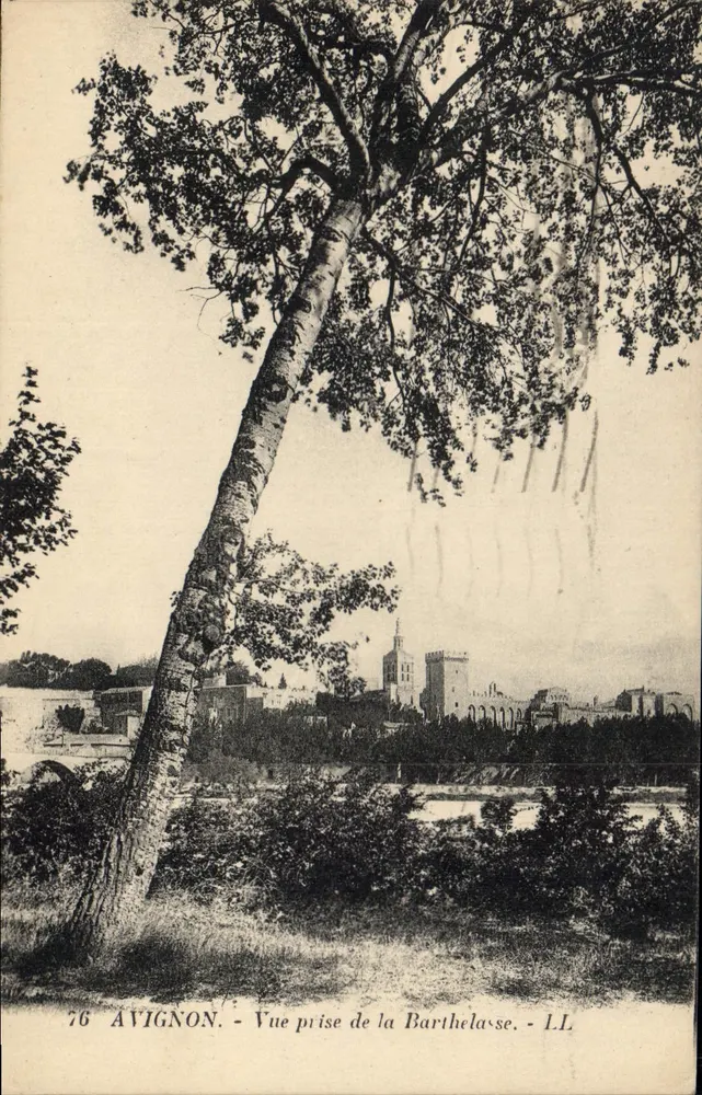 Avignon - Vista tirada da Barthelasse - LL, n°76 - Frente