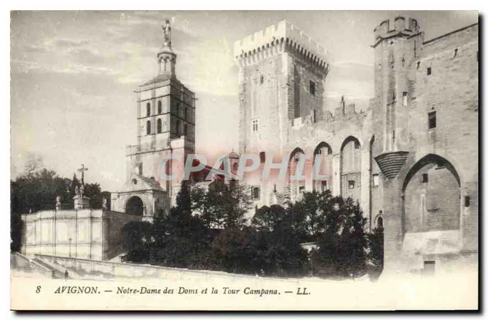 Avignon — Notre-Dame des Doms und die Tour Campana — LL - Vorderseite