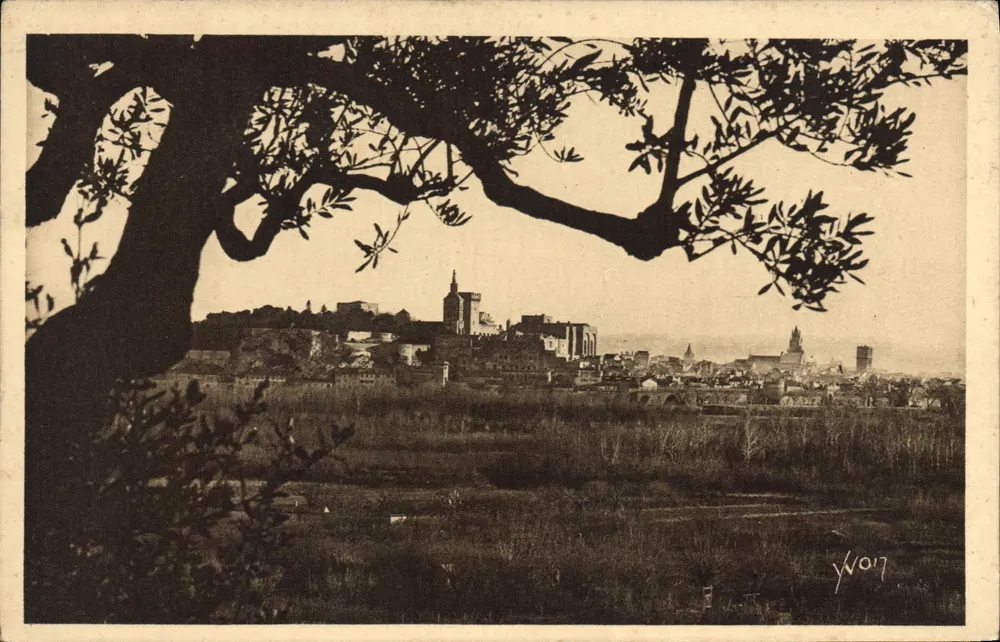 Avignon (Vaucluse) — Blick auf die Stadt durch die Olivenbäume — Les Éditions d'Art YVON, Paris - Vorderseite