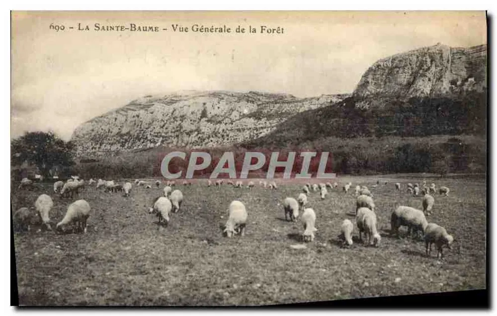 La Sainte-Baume — Allgemeiner Blick auf den Wald — unbekannter Verlag, Seriennummer 690 - Vorderseite