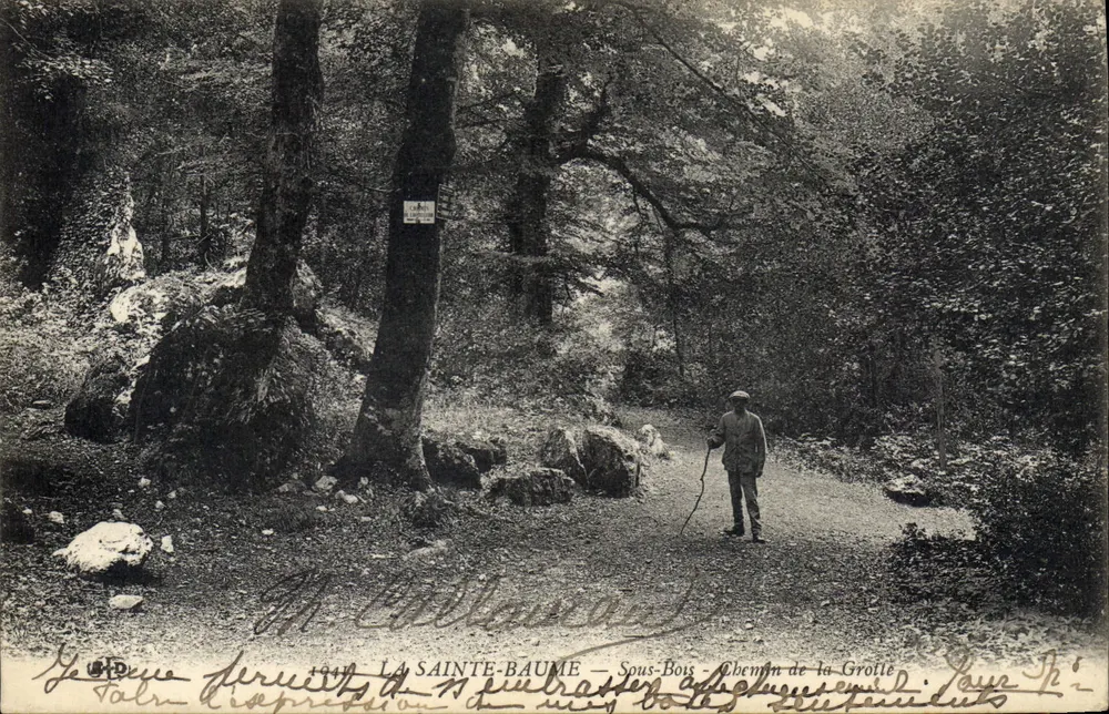 La Sainte-Baume — Subfloresta — Caminho da Gruta - Frente