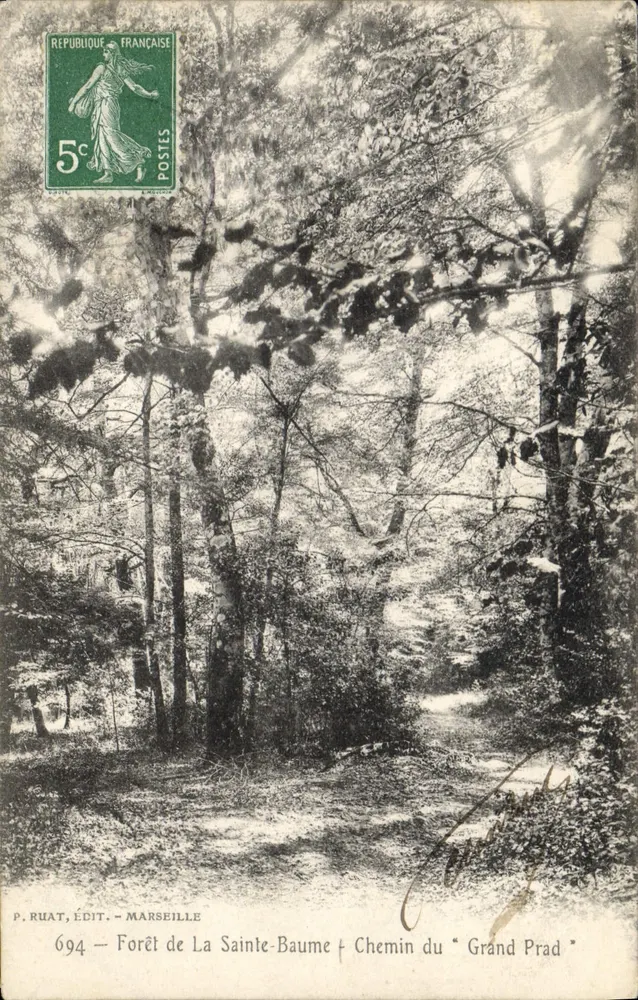 Wald von La Sainte-Baume — Weg des "Grand Prad" — P. Ruat, Verlag - Marseille, n°694 - Vorderseite