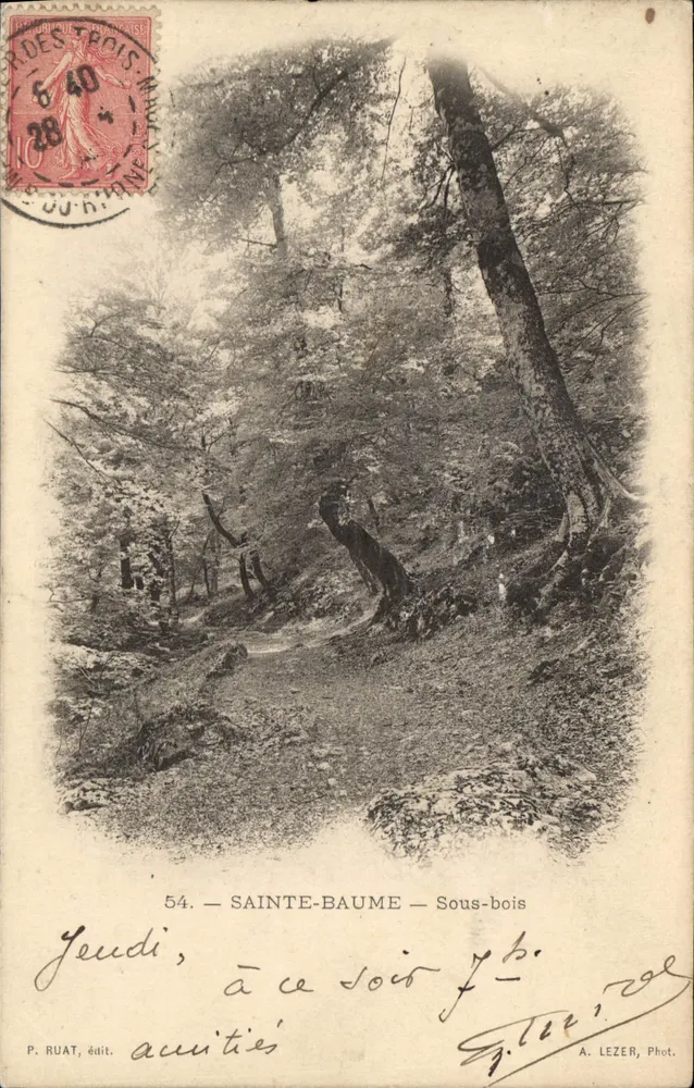Sainte-Baume — Unterholz — P. Ruat, Verlag Nr. 54 - Vorderseite