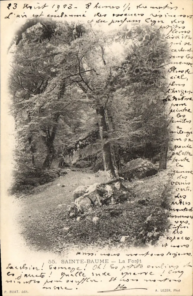 Sainte-Baume — A Floresta — P. Ruat, édit. n°55 - Frente