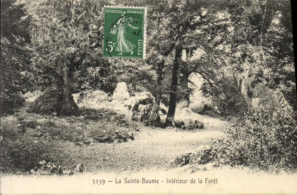 La Sainte-Baume — Interior da Floresta — Fototipia J. Lacoun, n°3259 - Frente