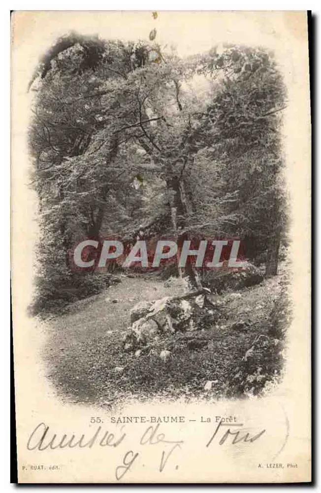 Sainte-Baume — A Floresta — P. RUAT, editora n°55 - Frente