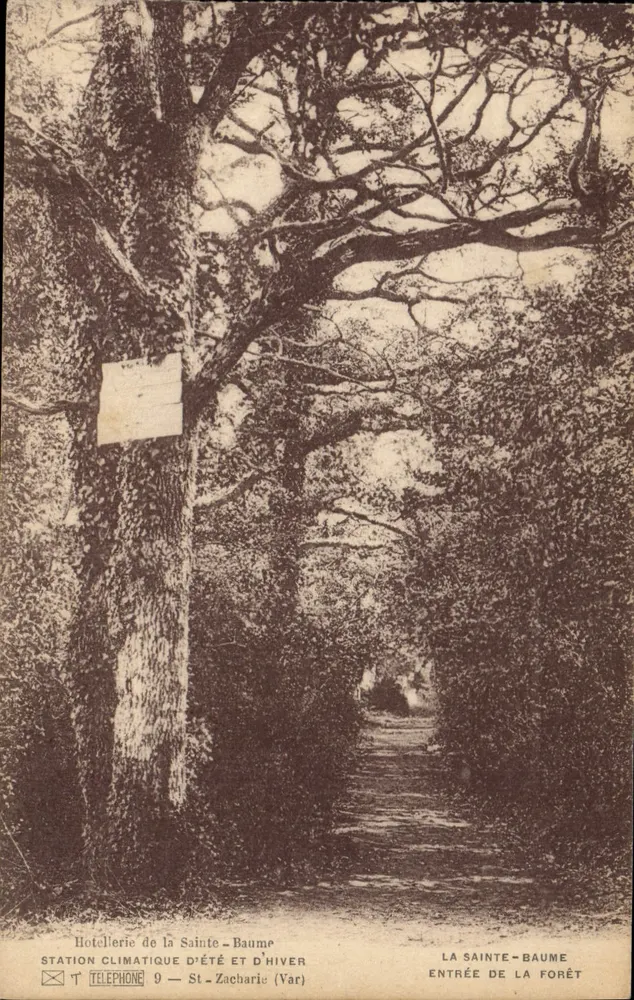 Entrada da floresta — A Sainte-Baume — Hotel de la Sainte-Baume - Frente