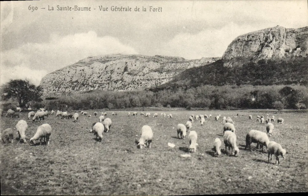 La Sainte-Baume — Allgemeiner Blick auf den Wald — Verlag C. Manesse, Nr. 690 - Vorderseite