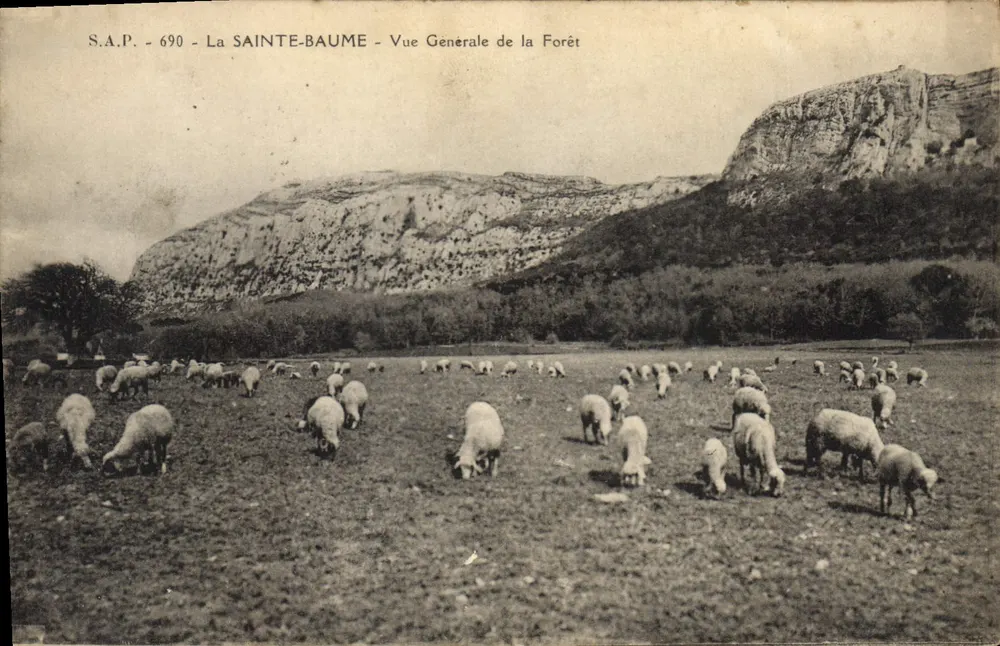 La Sainte-Baume — Allgemeiner Blick in den Wald — S.A.P. 690 - Vorderseite