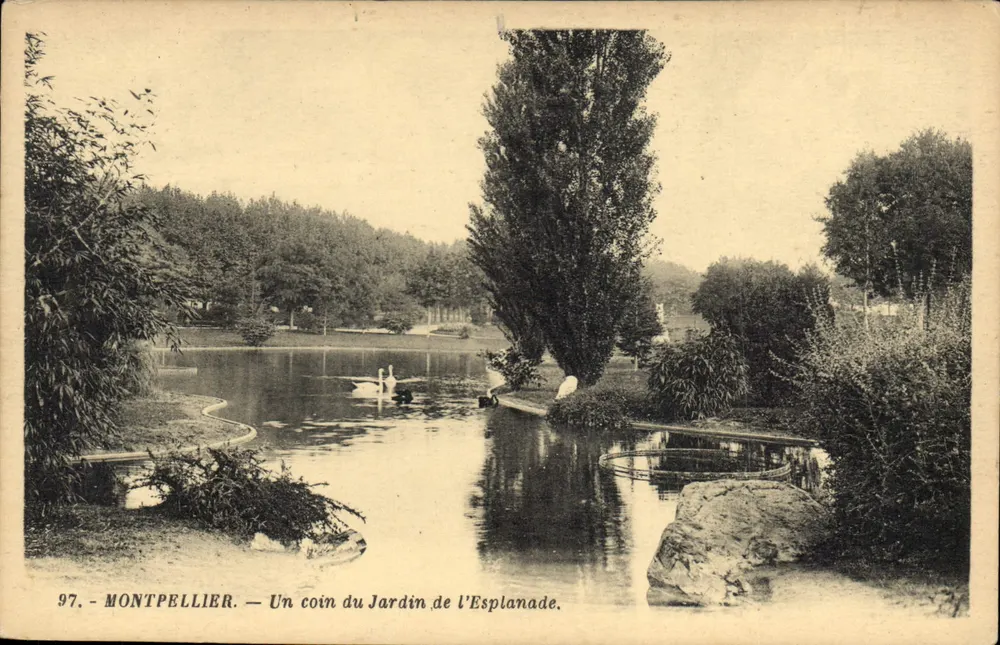 Montpellier — Ein Stück des Jardins de l'Esplanade — G. Artaud, Verlag - Vorderseite