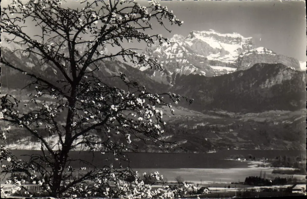 See Annecy — Mont Blanc — Éditions & Rossa HGNOD - Vorderseite