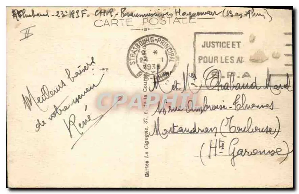 Strasbourg — Ninho de Cegonhas — Editora Cartes La Cigogne, n° 477 - Verso