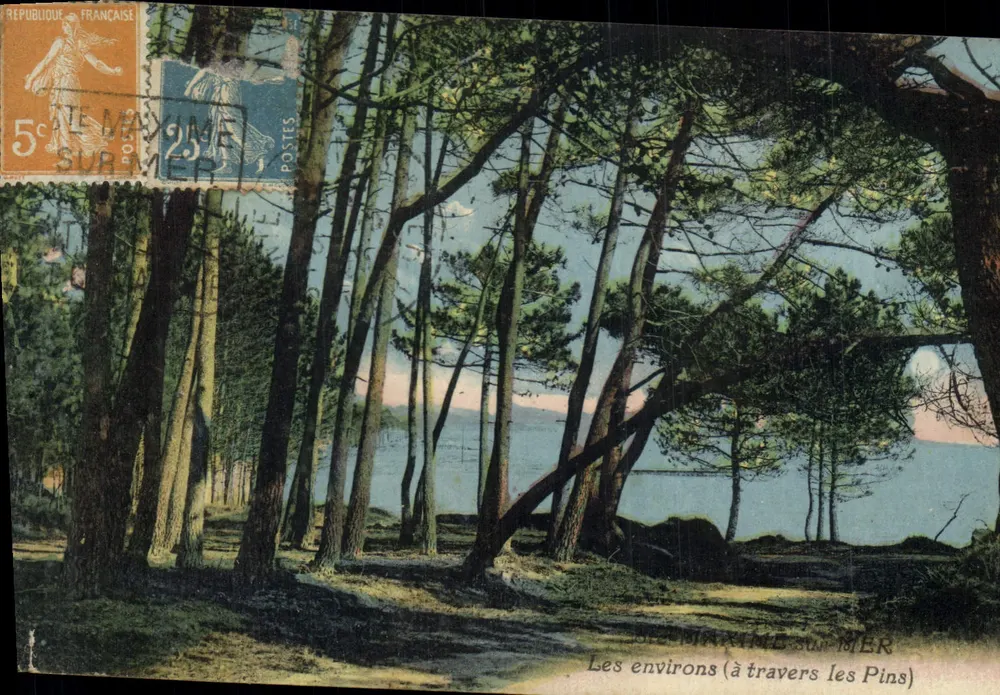 Saint-Maxime-sur-Mer — Os arredores (através dos Pinheiros) — editor não identificado - Frente