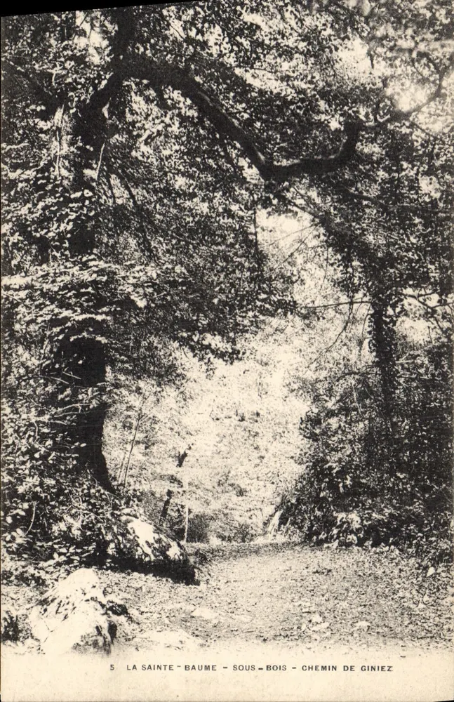 La Sainte-Baume - Unter den Bäumen - Giniez-Pfad — Verleger: Dupré & Cie, Paris - Vorderseite