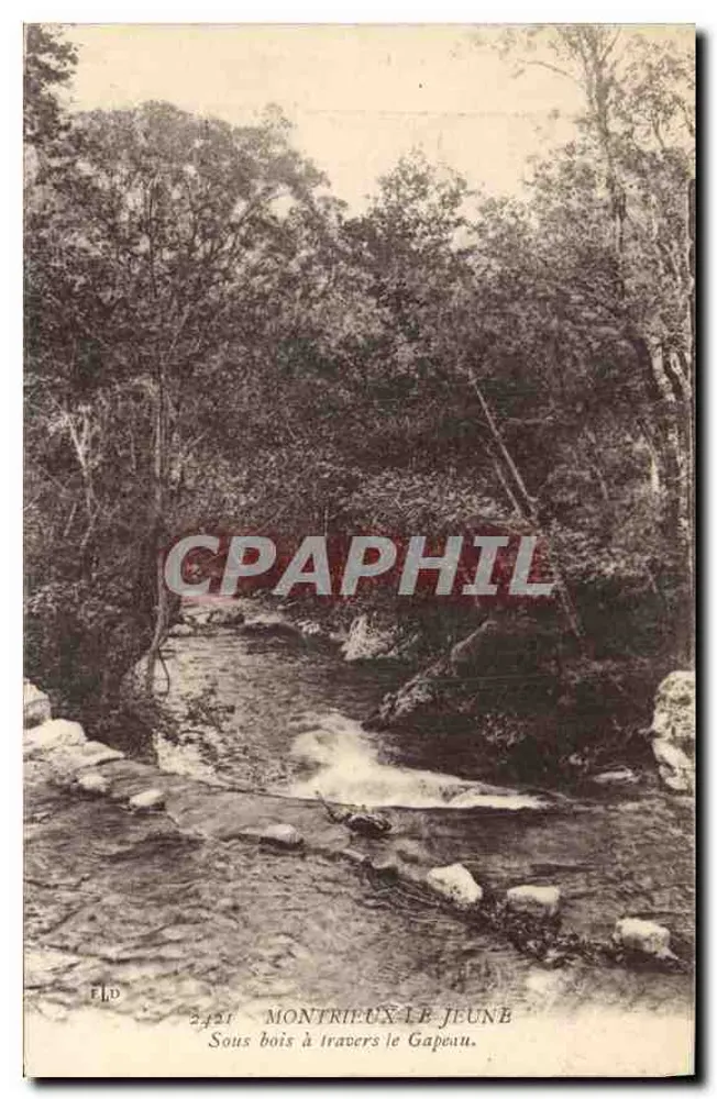 Montrieux-le-Jeune — Unterholz durch den Gapeau — Verlag ELD, n° 2421 - Vorderseite