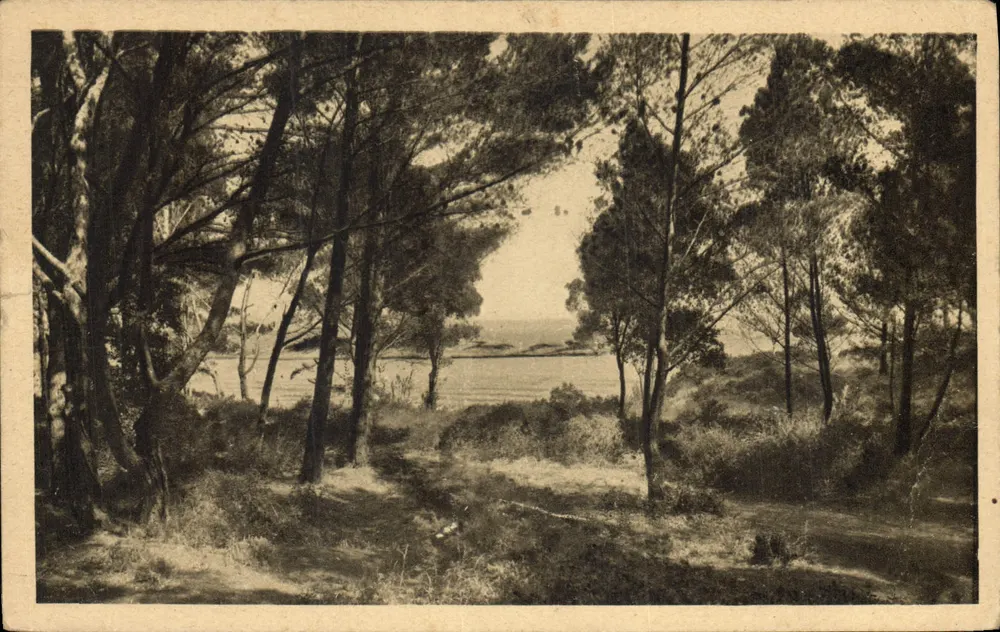 Ilha de Porquerolles — Um Sous Bois — editor Conquier Mâcon - Frente
