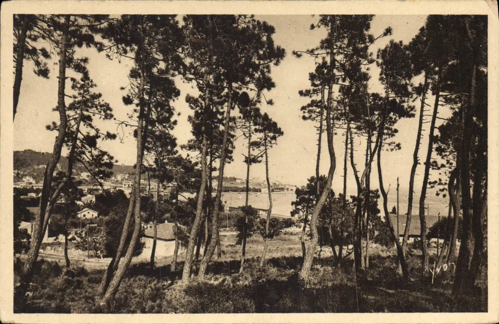 Ansicht von Sainte-Maxime — Die Pineta — Éditions d'Art YvC - Vorderseite