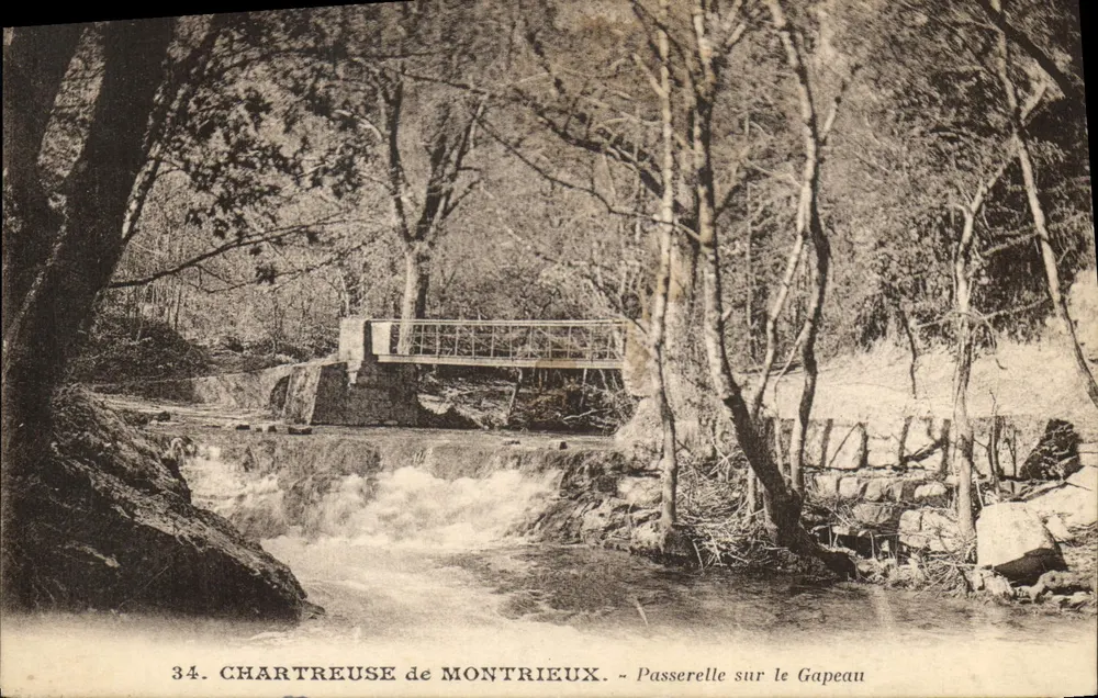 Chartreuse de Montrieux — Fußgängerbrücke über den Gapeau — Edition F. Duce & Cie - Vorderseite