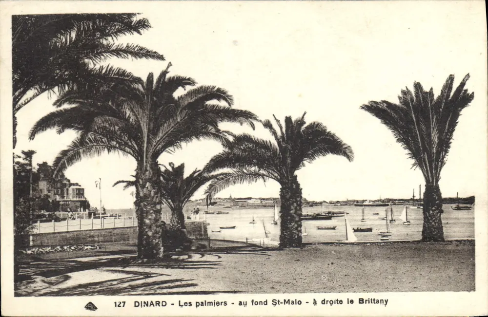 Dinard - Die Palmen - Im Hintergrund St-Malo - Rechts der Brittany - Vorderseite