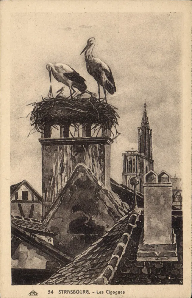 Strasbourg - As Cegonhas — n°54 - Frente