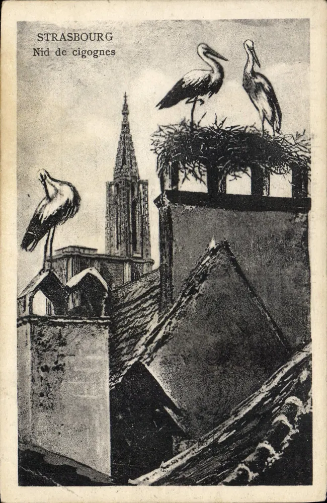 Strasbourg — Ninho de coruja — Plataforma da Catedral de Strasbourg - Frente