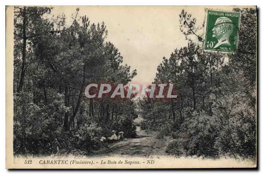 Carantec (Finistère) — O Bosque dos Pinheiros — 512 - Frente