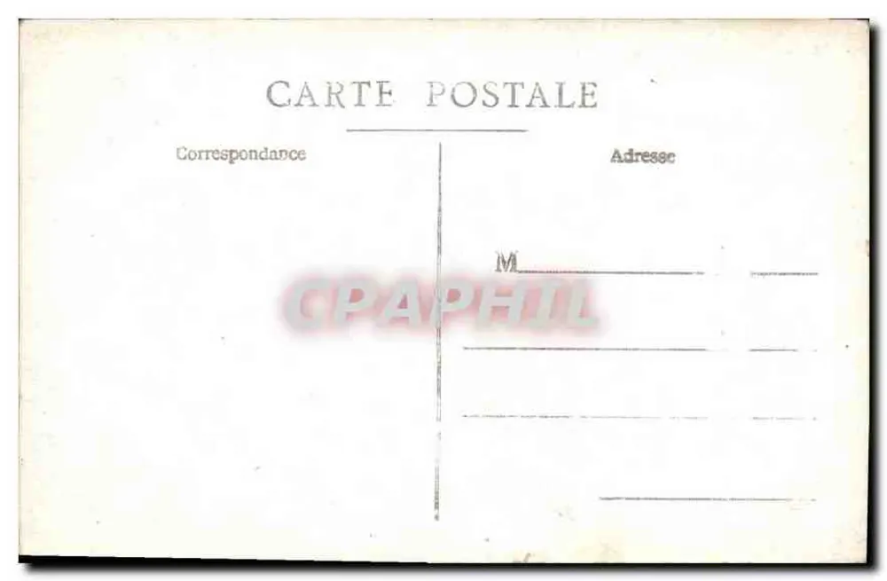 Floresta de pinheiros — vista nevada — Carta postal anônima - Verso
