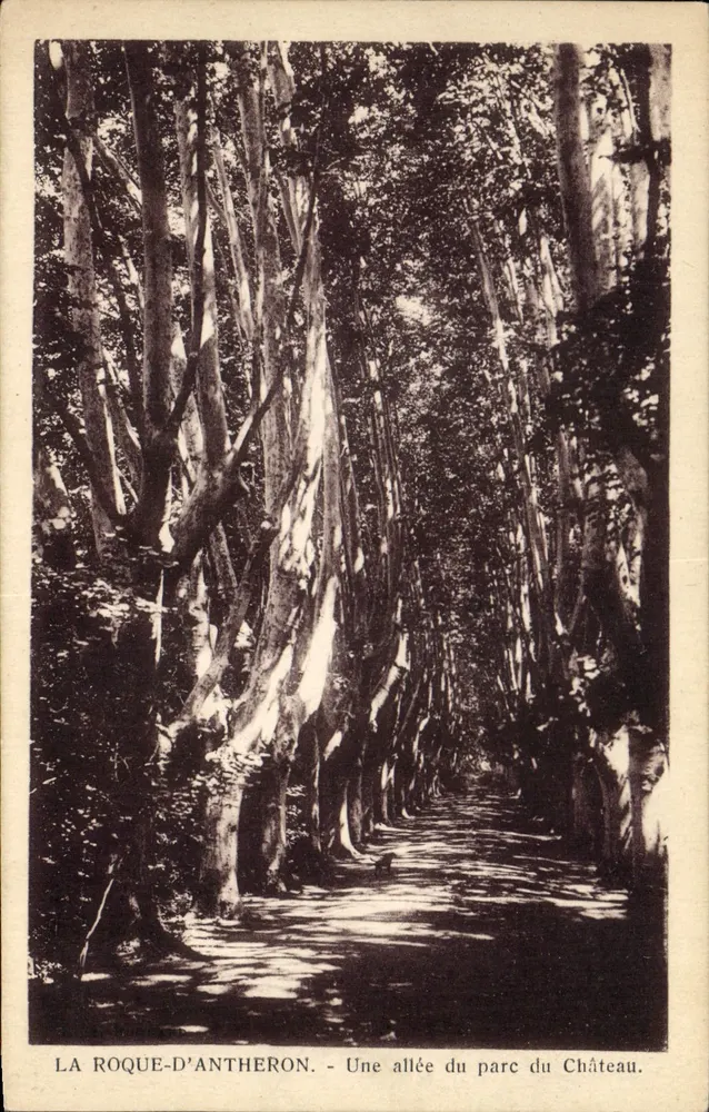 LA ROQUE-D'ANTHERON — Ein Weg im Park des Schlosses — Verlag Tardy, 40, Quinault, Paris - Vorderseite