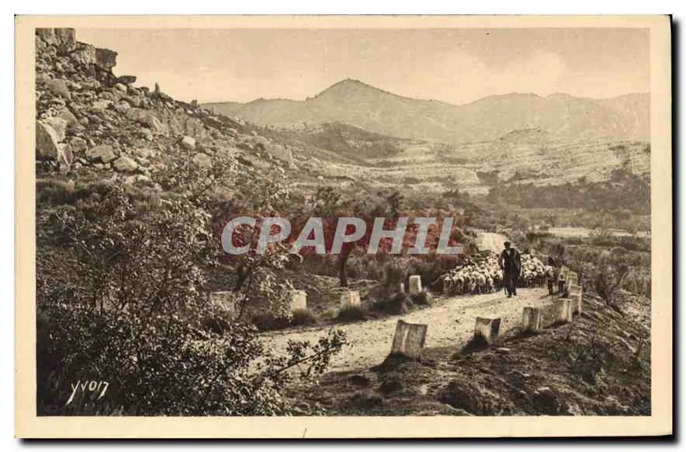 Landschaften und Steine der Provence — Auf der Straße von Saint-Rémy nach Baux — Kunstausgabe YVON - Vorderseite