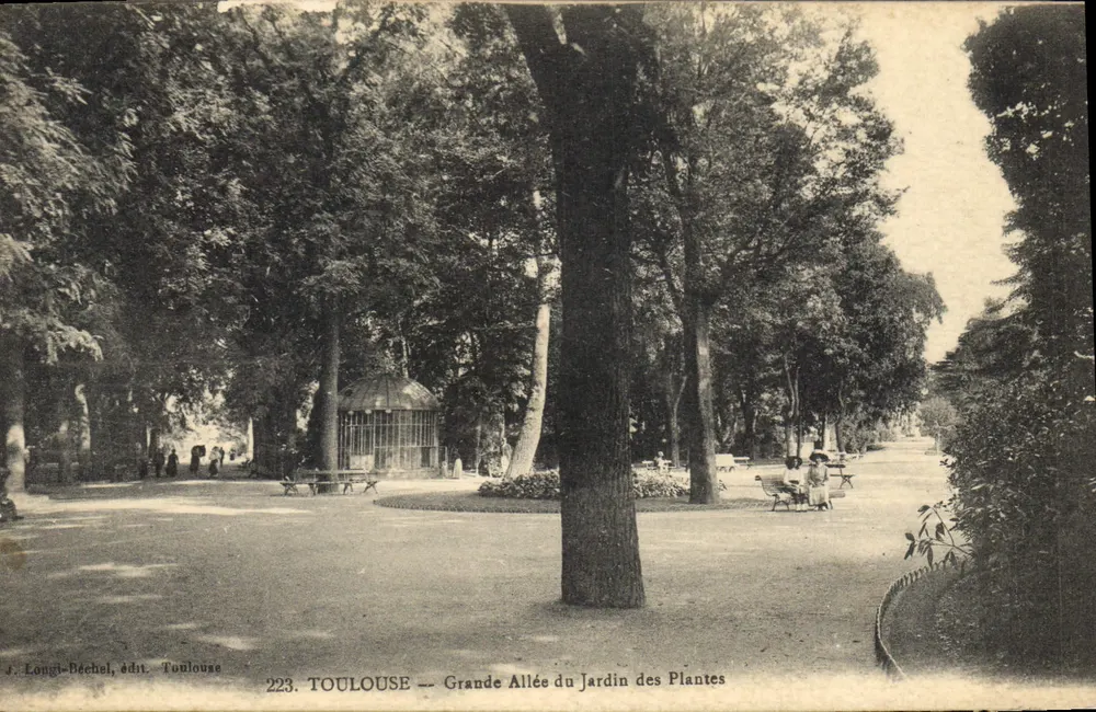 Toulouse — Grande Allée des Jardin des Plantes — J. Longri-Béchol, Verlag Toulouse, Nr. 223 - Vorderseite