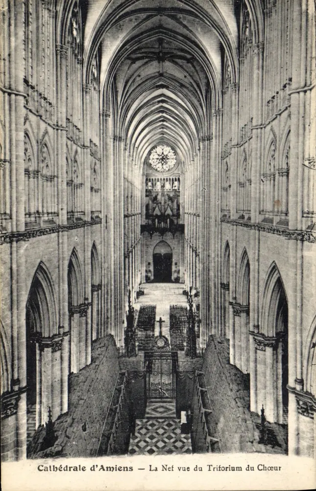 Cathédrale d'Amiens — La Nef vue du Triforium du Chœur - Recto