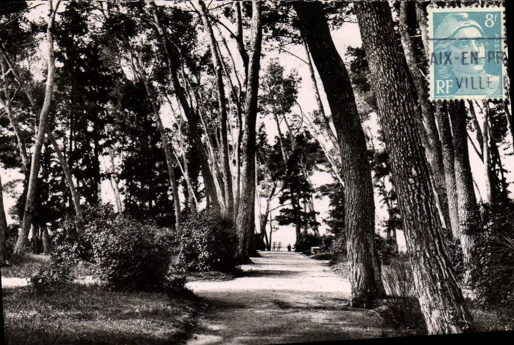 Aix-en-Provence — Sous-bois au Parc Jourdan — Éditions Carpathi - Recto