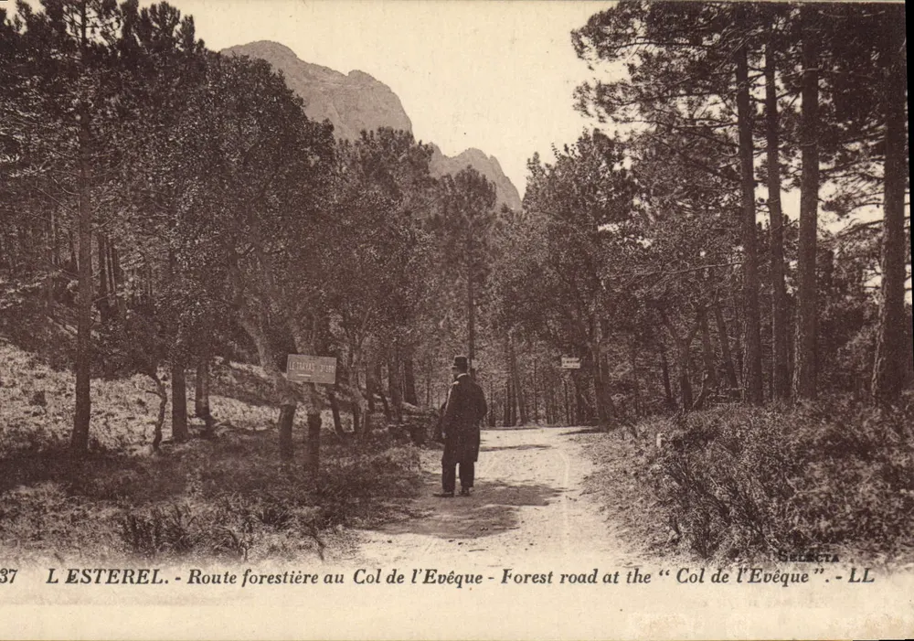 L'ESTEREL - Estrada florestal no Col de l'Évêque - Selecta LL n°37 - Frente