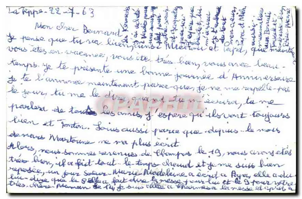 एनीमोन्स एक बर्तन में — जन्मदिन की कार्ड — लूइस लेसर्फ - पीछे