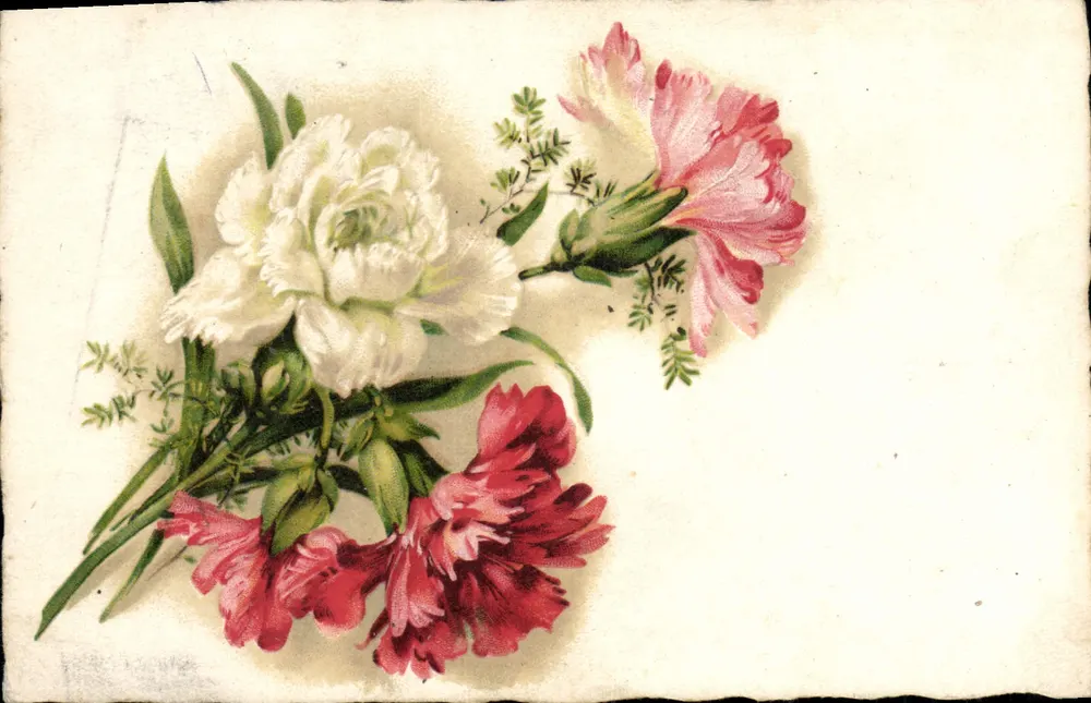 Bouquet de pâquerettes — illustration imprimée — éditeur 'Imag' n°2188 - Frente