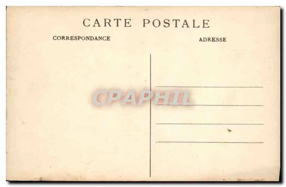 LYON — Parc de la Tête-d'Or — Les Cygnes — E R. - Verso