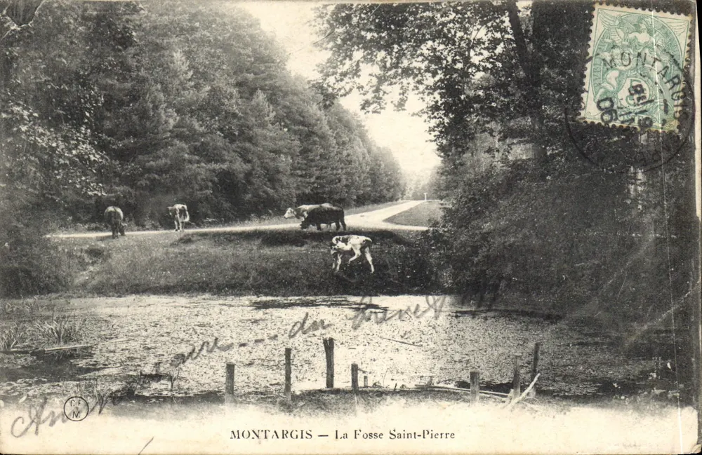 Montargis — La Fosse Saint-Pierre — éditeur anonyme, n° de série non visible - Recto