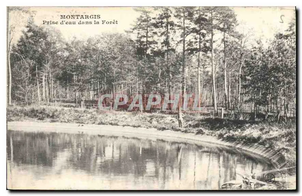 Montargis — Fonte na Floresta — editor desconhecido - Frente