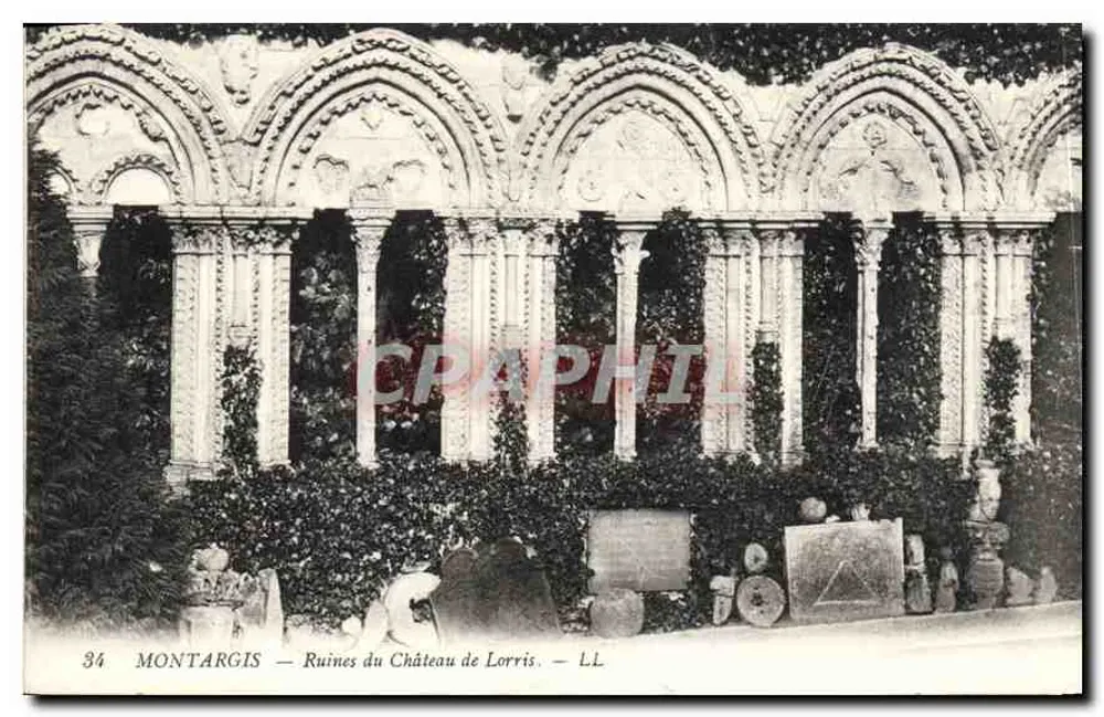 Montargis — Ruins of the Château de Lorris — LL - Front