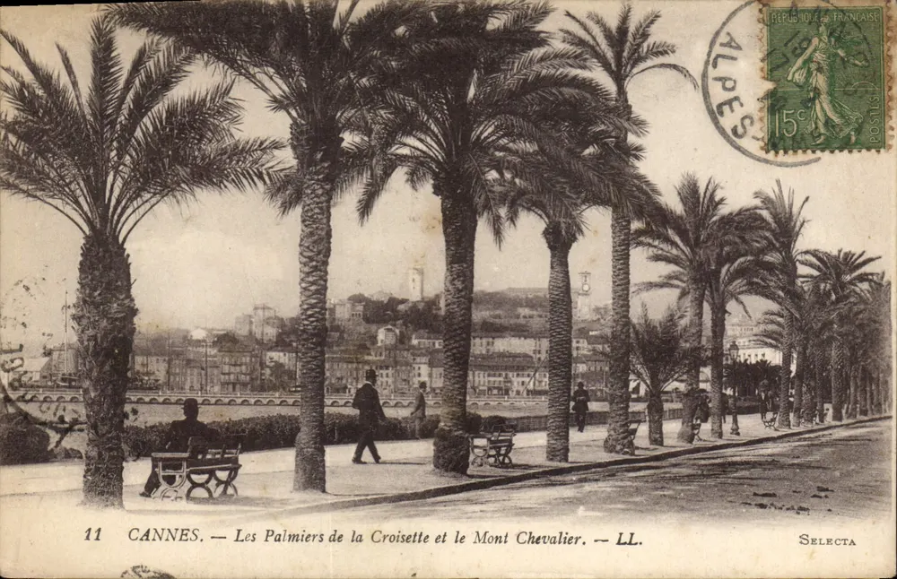 CANNES — Die Palmen der Croisette und der Mont Chevalier — LL. — SELECTA - Vorderseite