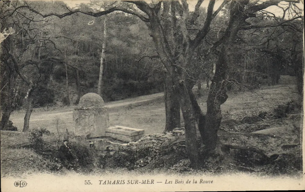 TAMARIS SUR-MER — Les Bois de la Rouve — B.D. n°55 - Vorderseite